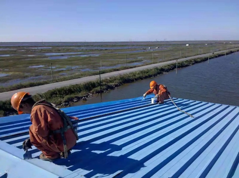 丰泽钢结构屋面漏水原因